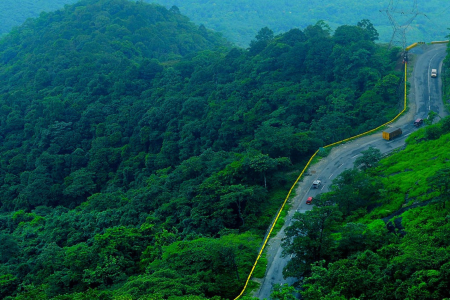 Wayanad