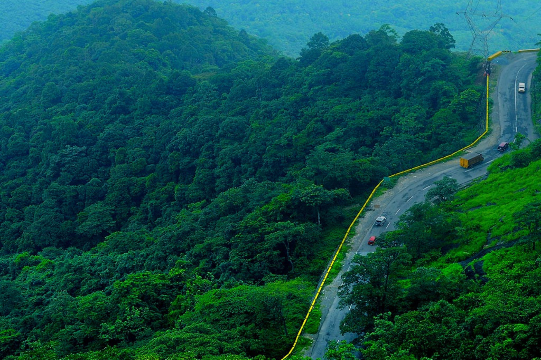 Wayanad: A Paradise of Lush Greenery and Cultural Riches