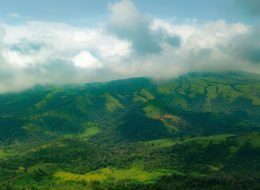 Coorg