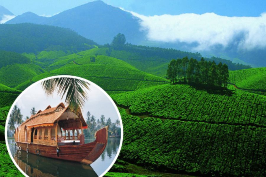 Munnar – Alleppey