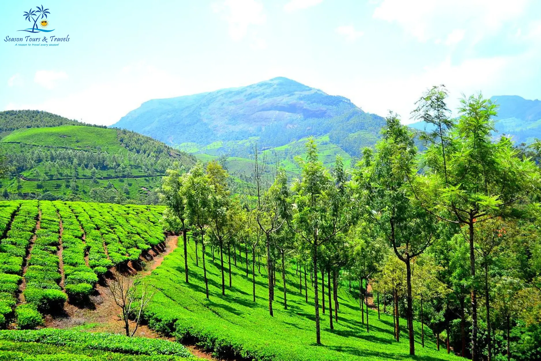 munnar tour package from mangalore