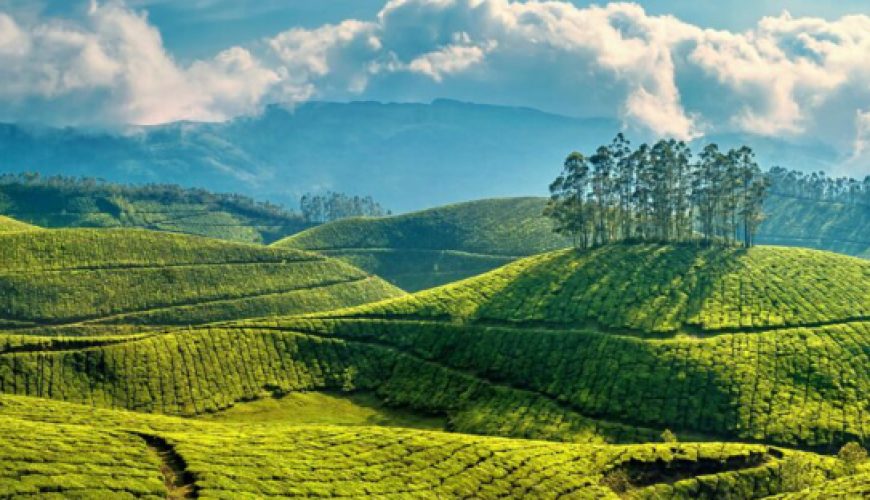 Munnar