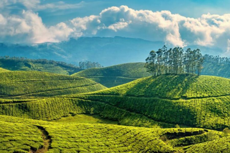 Munnar